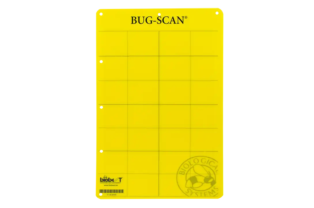 Bug-Scan Yellow (25 cm x 40 cm)